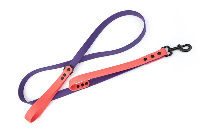 BioThane Leash With Traffic Handle | SeaFlower Co