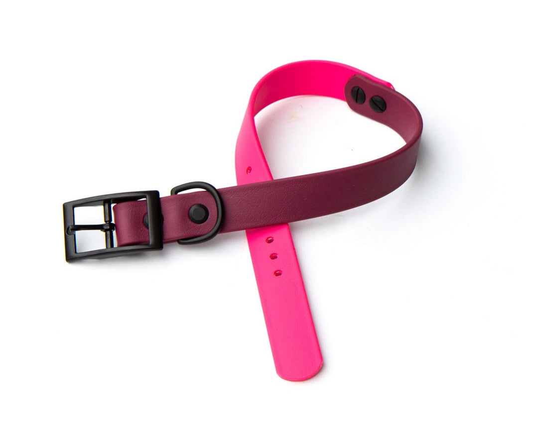 Pink & Wine Two Toned BioThane Collar | SeaFlower Co