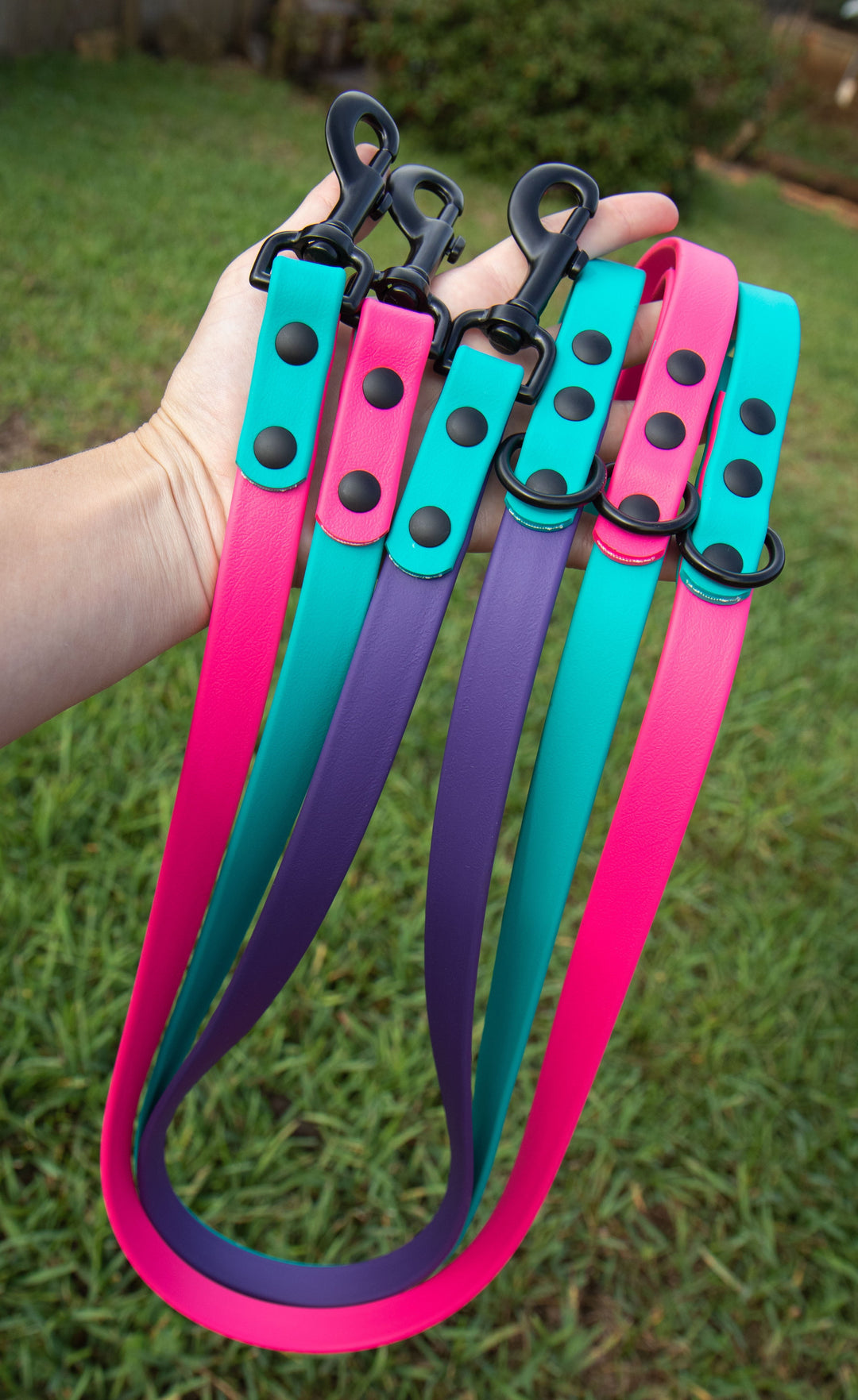 Two-Toned BioThane Leashes