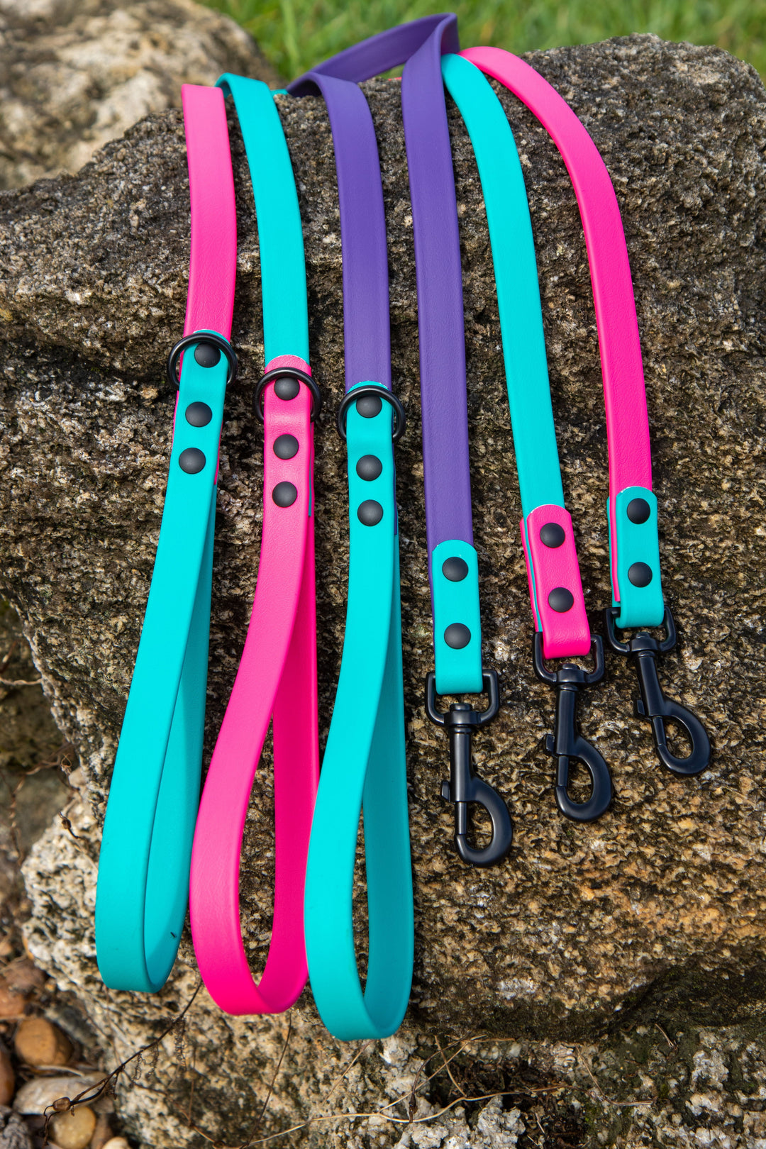 Two-Toned BioThane Leashes
