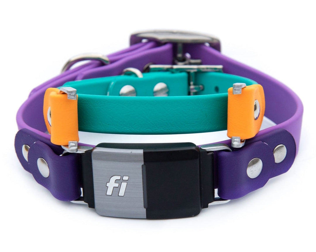 Fi Compatible Over The Band BioThane Collar | SeaFlower Co