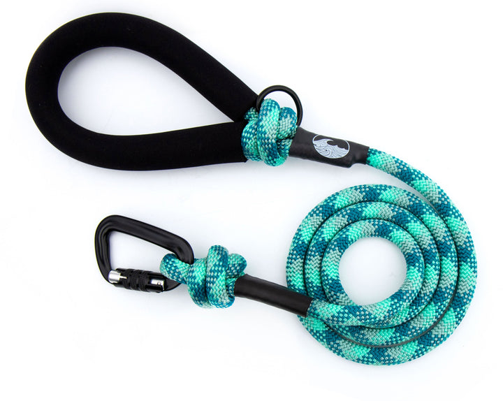 Teal Multicolored Rope Leash With Padded Handle | SeaFlower Co