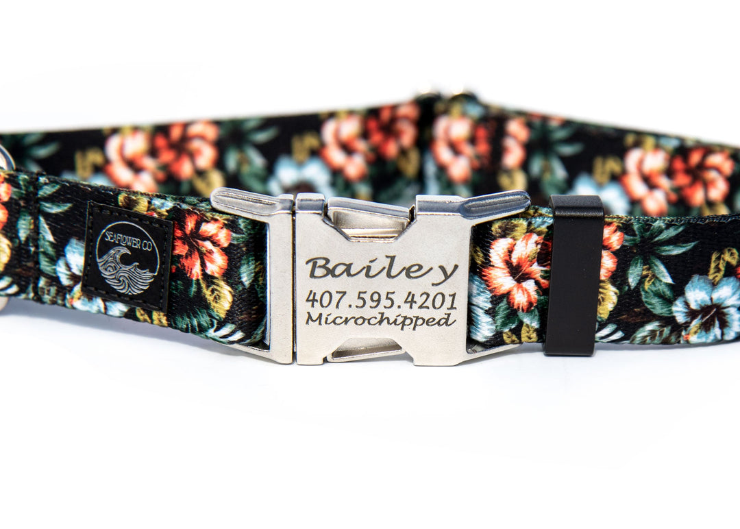 Upgrade To Go Tagless | Personalized Dog Collar Buckle