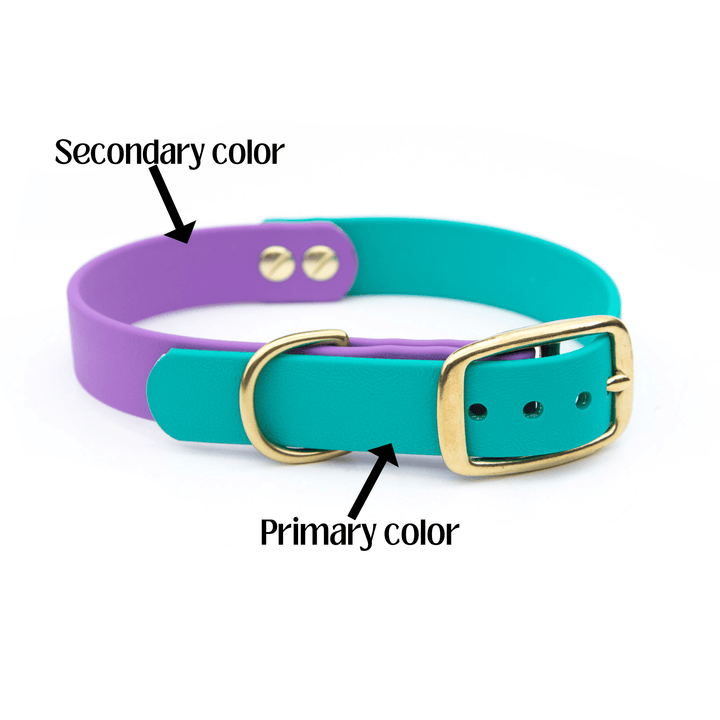 Teal & Orchid BioThane® Collar