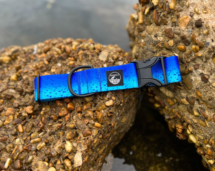 Blue Mahi Dog Collar | SeaFlower Co