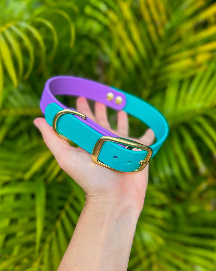 Teal & Orchid BioThane Dog Collar | SeaFlower Co