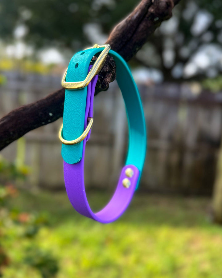Teal & Orchid BioThane Dog Collar | SeaFlower Co