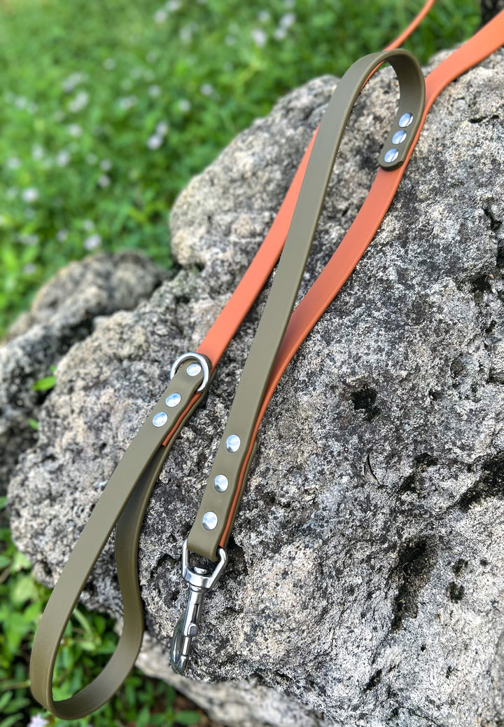 BioThane Leash With Traffic Handle | SeaFlower Co