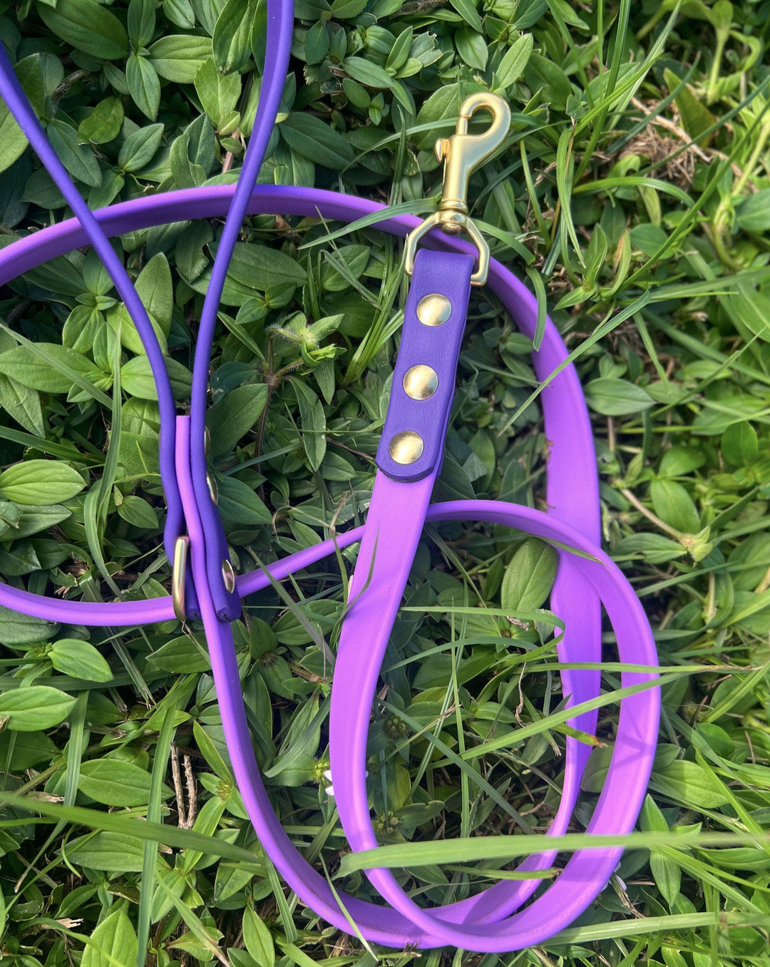 Orchid & Purple BioThane Dog Leash