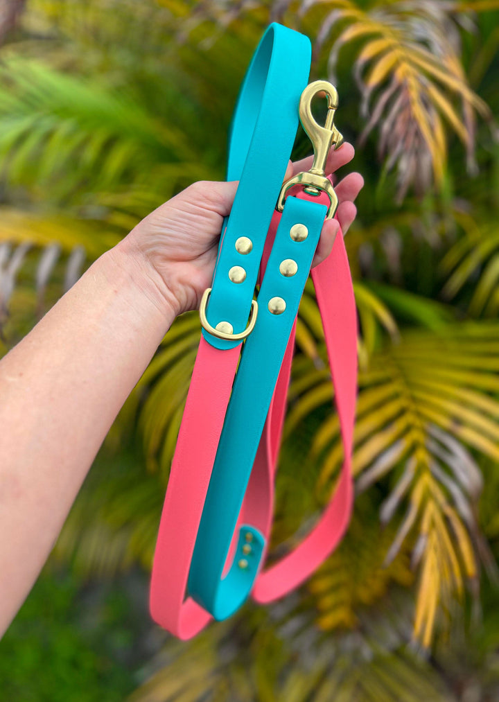 Coral & Teal BioThane® Leash With Traffic Handle