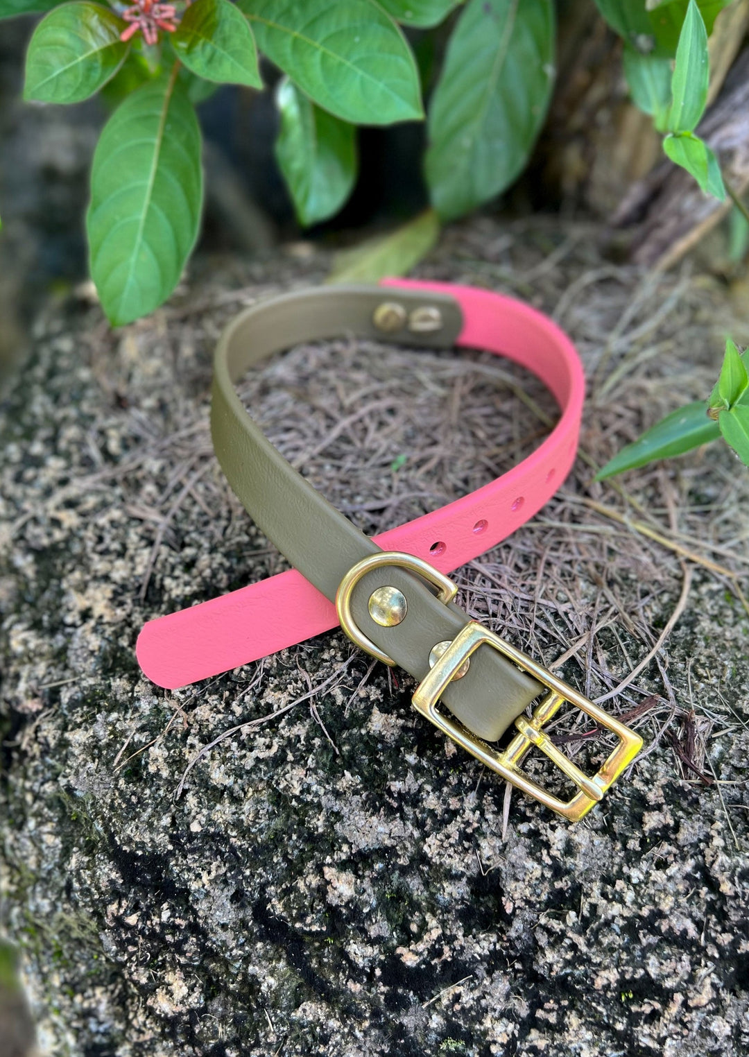 Coral and Olive Drab BioThane Collar | SeaFlower Co
