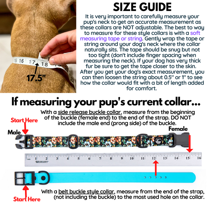 Series 1, 2, 3 Fi Compatible 3/4" or 1" BioThane® Collar With COBRA® Buckle (Over The Band)